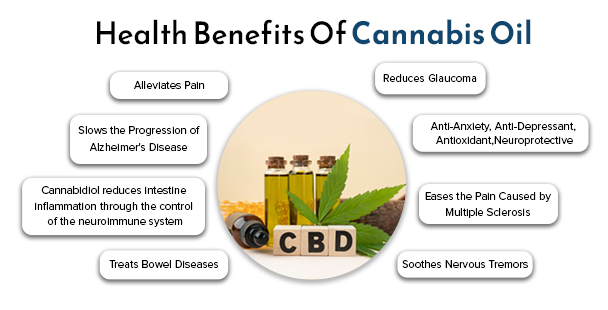 Health Benefits Of Cannabis Oil