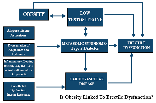 OBESITY 