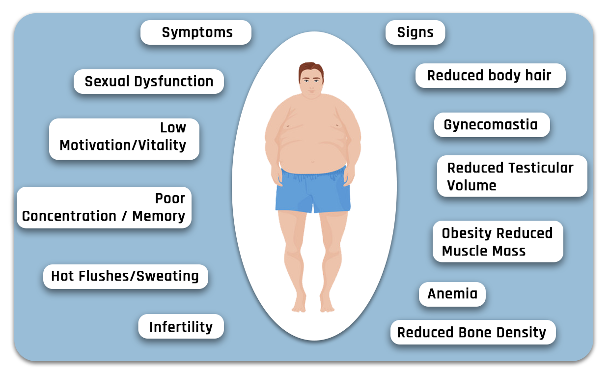 Symptoms Obesity Reduced Muscle Mass