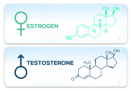 ESTROGEN VS TESTOSTERONE