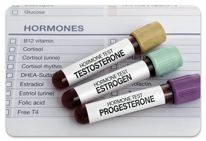 hormones 