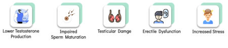 Lower Testosterone Production