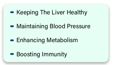 Why Is It Vital To Fix The Dietary Aspects?