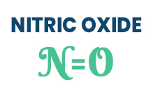 Nitric Oxide What Role Does It Play In Your Erection Abilities?