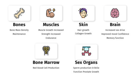 The Reason You Have High Testosterone