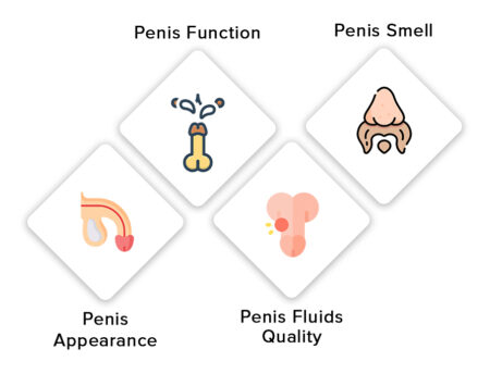Finding The Factors That Are Important For Your Penis Health
