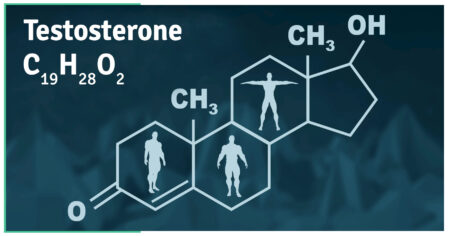 The Need To Fix Testosterone
